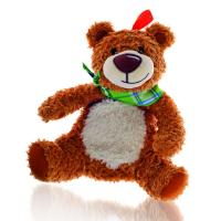 6349peluche bouillotte ours colza